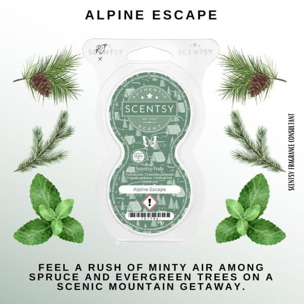 Alpine Escape Scentsy Fragrance Pods