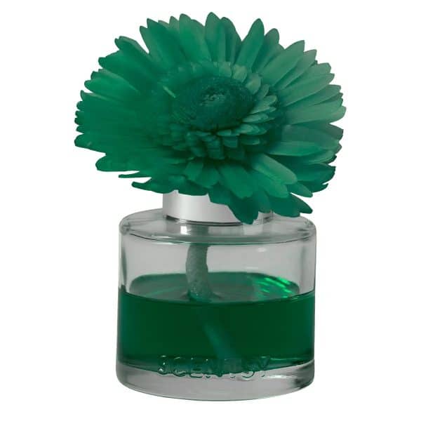 Apple Harvest Dreams - Dainty Daisy Fragrance Flower