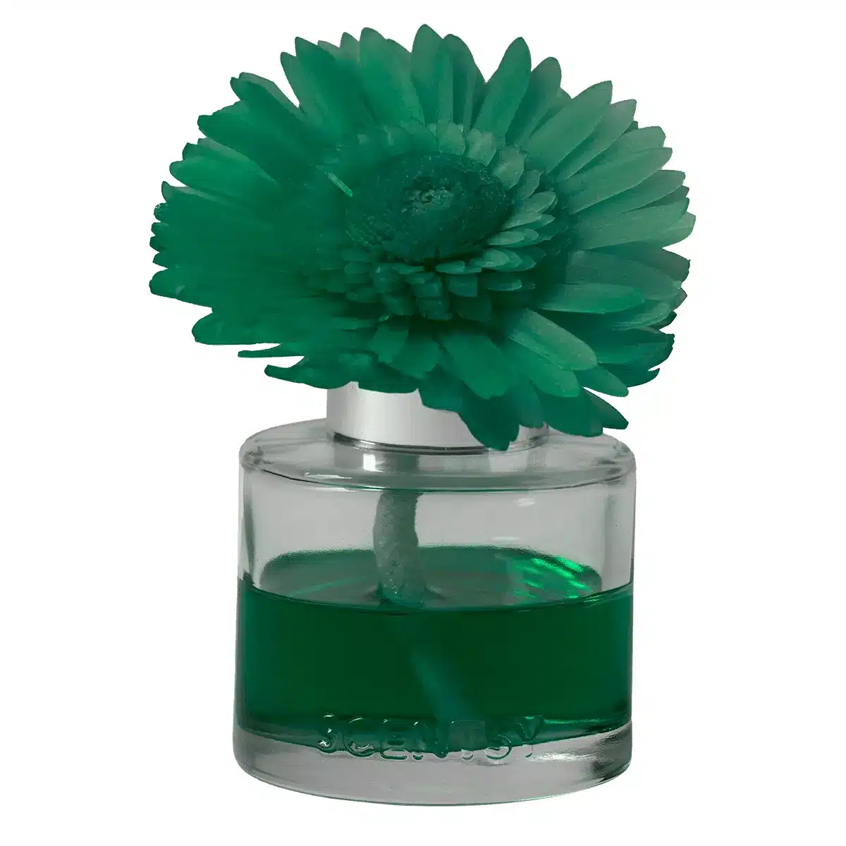 Apple Harvest Dreams - Dainty Daisy Fragrance Flower Apple Harvest Dreams - Dainty Daisy Fragrance Flower