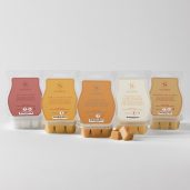 Autumn Scentsy 5 Bar Bundle