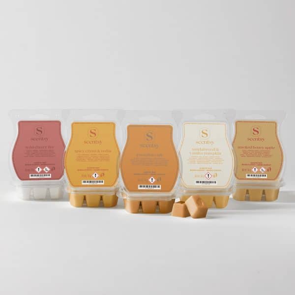 Autumn Scentsy 5 Bar Bundle