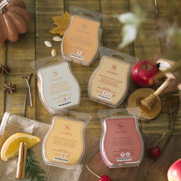 Autumn Scentsy 5 Bar Bundle Styled