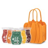 Autumn Scentsy Bar 5-pack