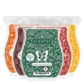 Autumn Scentsy Bar 5-pack 2025