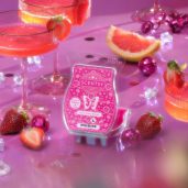 Berry Cosmo Boogie Scentsy Wax Bar Melt