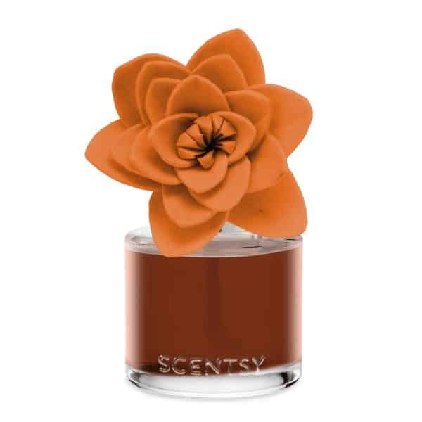 Caramel Macadamia Nut – Natural Poinsettia Scentsy Fragrance Flower