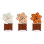 Caramel Macadamia Nut – Natural Poinsettia Scentsy Fragrance Flower Colour Change