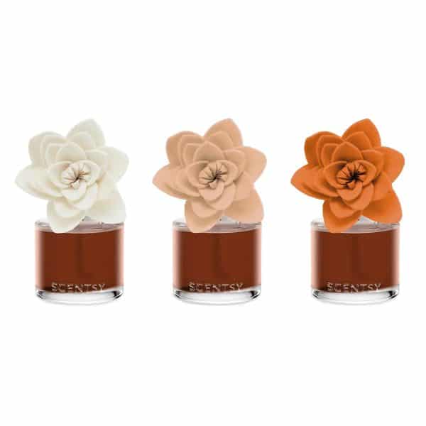 Caramel Macadamia Nut – Natural Poinsettia Scentsy Fragrance Flower Colour Change