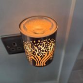 Deep Roots Scentsy Plugin Mini Warmer Real Life Image 1