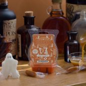 Frights & Delights Scentsy Wax Bar Melt Real Life Image