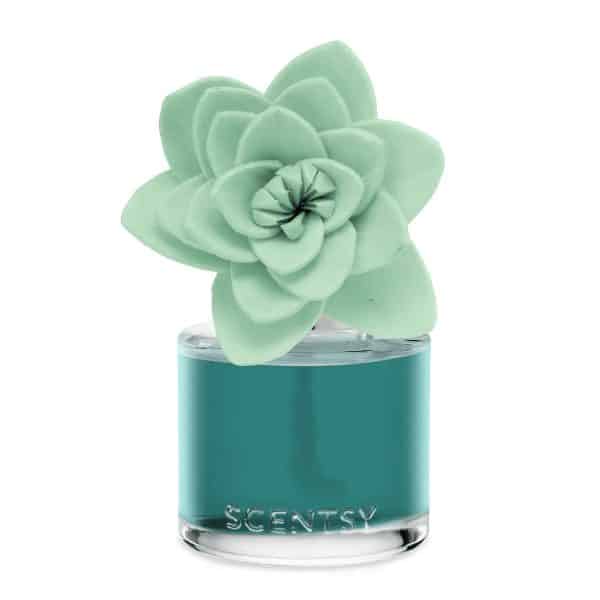 Frosted Eucalyptus – Natural Poinsettia Scentsy Fragrance Flower