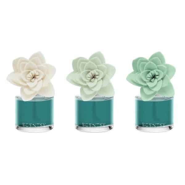 Frosted Eucalyptus – Natural Poinsettia Scentsy Fragrance Flower Colour Change