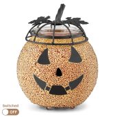 Gleaming Grin Scentsy Warmer Switched Off