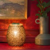 Glitzy Scentsy Warmer Styled 2