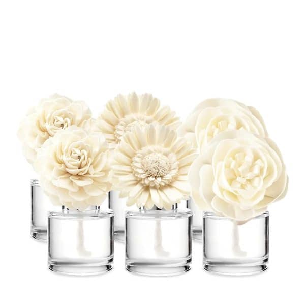 Last Chance Scentsy 6-Fragrance Flower Bundle
