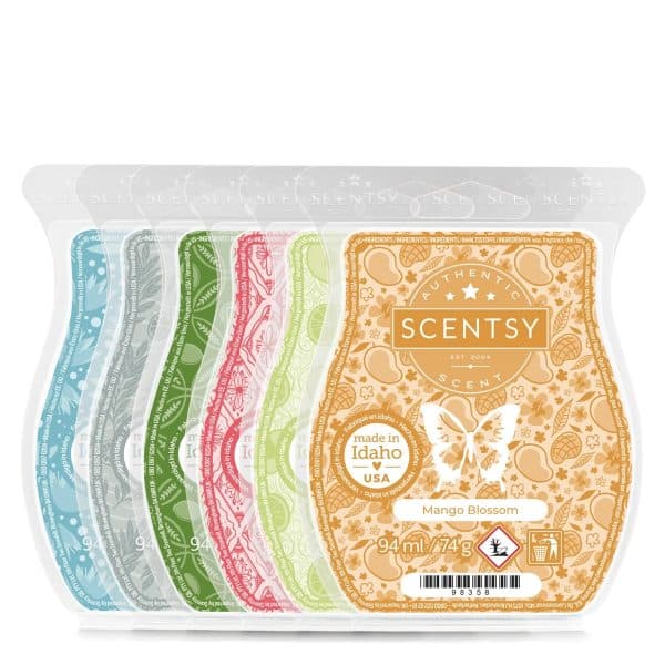 Last Chance Scentsy 6-Bar Bundle