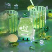 Mojito Mambo Scentsy Wax Bar Melt