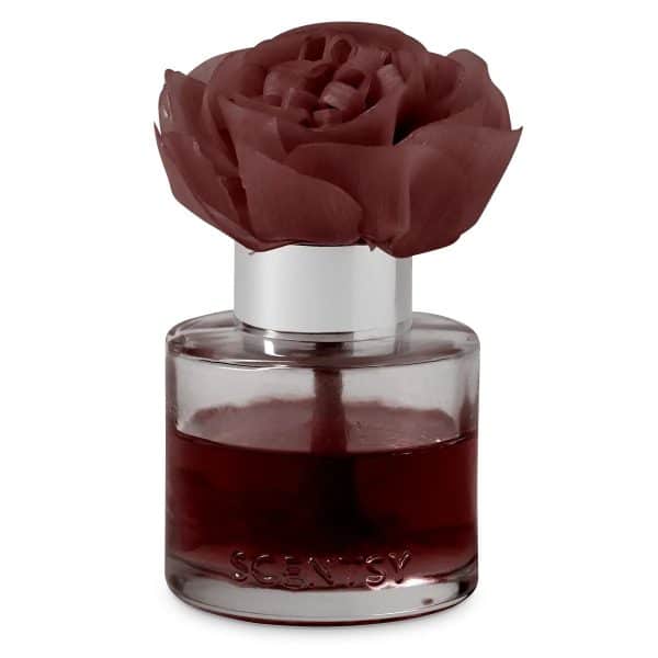 Moonlight Whisper - Buttercup Belle Fragrance Flower