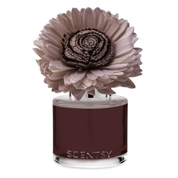 Moonlight Whisper – Stunning Sunflower Fragrance Flower