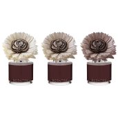 Moonlight Whisper – Stunning Sunflower Fragrance Flower Colour Change
