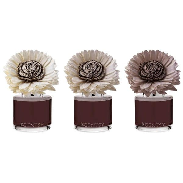 Moonlight Whisper – Stunning Sunflower Fragrance Flower Colour Change