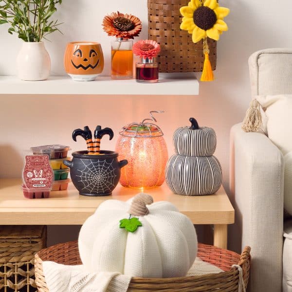 Autumn Collection
