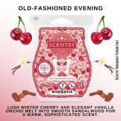 Old-Fashioned Evening Scentsy Wax Bar