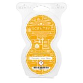 Pumpkin Honey Spice Scentsy Pod Twin Pack