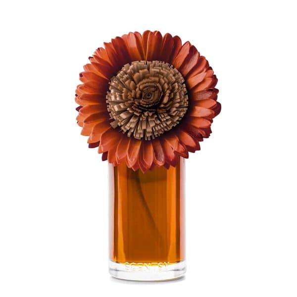 Pumpkin Honey Spice – Large Stunning Sunflower Fragrance Flower