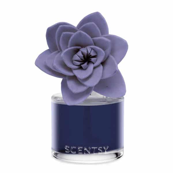 Snowed-In Flannel – Natural Poinsettia Fragrance Flower