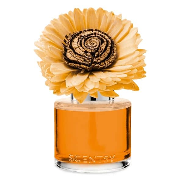 Spiced Pecan Crème – Stunning Sunflower Fragrance Flower