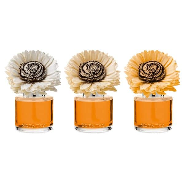 Spiced Pecan Crème – Stunning Sunflower Fragrance Flower