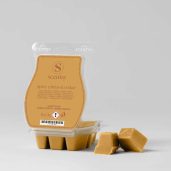 Spicy Citrus & Cedar Scentsy Wax Bar