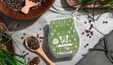 Suede & Vetiver Scentsy Bar 