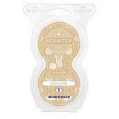 Vanilla Amber Scentsy Pods - Twin Pack