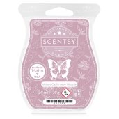 Velvet Cashmere Woods Scentsy Wax Bar Melt