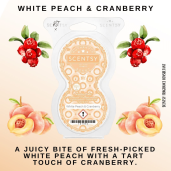 White Peach & Cranberry Scentsy Fragrance Pods
