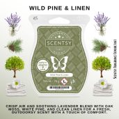 Wild Pine & Linen Scentsy Wax Bar