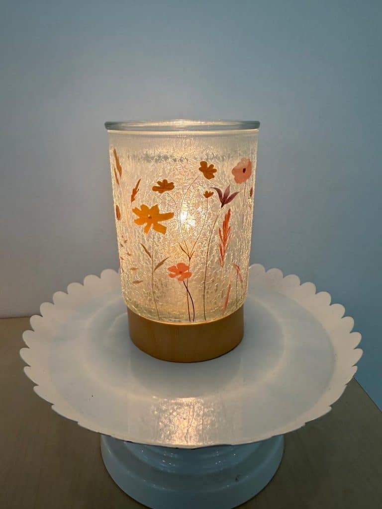 New Products Show at Scentsy Family Reunion 2025