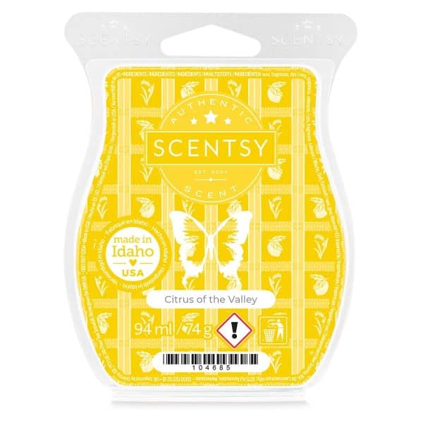 Citrus of the Valley Scentsy Bar