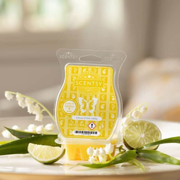 Citrus of the Valley Scentsy Bar
