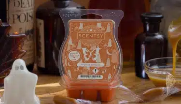 Frights & Delights Scentsy Bar 