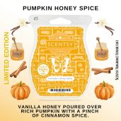 Pumpkin Honey Spice Scentsy Bar