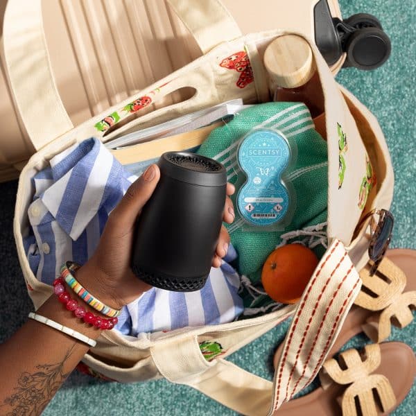 Scentsy Air Go & Go +