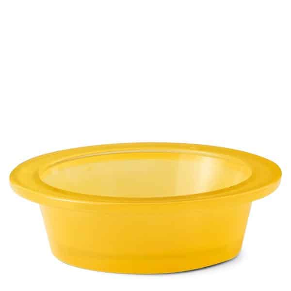 Share a Smile replacement dish
