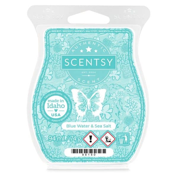Blue Water & Sea Salt Scentsy Bar Melt