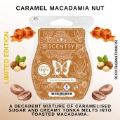 Caramel Macadamia Nut Scentsy Bar