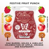 Festive Fruit Punch Scentsy Bar