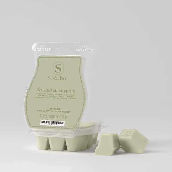 Frosted Eucalyptus Scentsy Bar