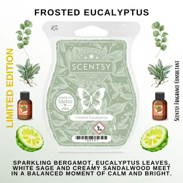 Frosted Eucalyptus Scentsy Bar